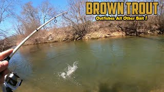 The BEST BAIT for Catching Stocked BROWN TROUT? (Instant \u0026 nonstop action!)