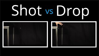 Shot VS Drop (Physics of Projectile Motion)