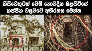 කිසිවෙකුට වෙඩ් නොවදින බලපිටියේ කප්පින වලව්ව