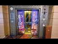 Awesome OTIS Traction Scenic Elevators - Paris Hotel Eiffel Tower - Las Vegas, NV