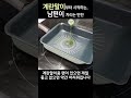 아빠가 만드는 반찬 시작하기 계란말이편