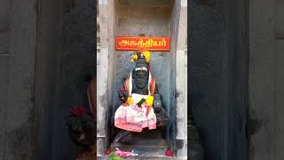 அகத்திய முனிவர் | #Agastyamunivar #tiruvannamalai #girivalam  #Agastya