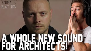 Architects - 