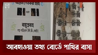 যেখানে থাকার কথা ছিলো আবহাওয়ার তথ্য সেখানে রয়েছে পাখির বাসা | Patuakhali | News | Ekattor TV