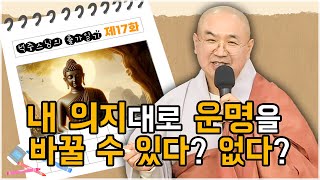 [석중스님 출가이야기] 17. 내 의지대로 운명을 바꿀 수 있다? 없다? #운명론