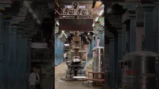 அருள்மிகு சிக்கல் சிங்காரவேலர் கோயில் Sikkal Singaravelan Temple #dheiveegamalar #shorts #trending