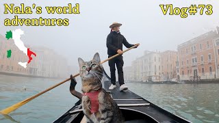 Nala's first gondola ride in VENICE 😻❤️ VLOG #73