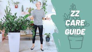 How To Grow A Happy ZZ Plant - Care Guide - Zamioculcas Zamiifolia 🌱