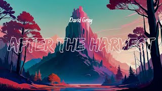 David Gray - After The Harvest (Lyrics)