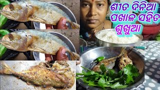 ଶୀତ ଦିନର ପଖାଳ ସହିତ ଶୁଖୁଆ ଭଜା ଭାରି ମଜା // Dry fish bhaja in odia // saga bhaja // beans aloo bhaja