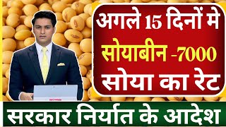 20 अगस्त 2024, aaj ka soybean bhav, soyabean ka bhav, soya ka rate, soybean mandi bhav,soya plant