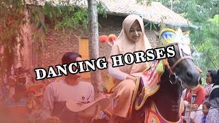 Dancing Horse The Best From Indonesia (HORSE RENGGONG)