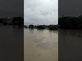 Sylhet Flood 2022 #sylhet #sylhet #flood #shorts #short