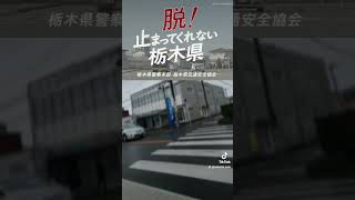 止まってくれない栃木県、栃木県警本部#オリエンタル#歩行者妨害#ワースト