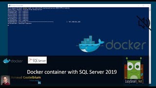 Docker: SQL Server 2019 Container