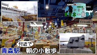 【JR東日本パスで行く東日本一周旅行Day3-①】青森駅付近で朝の小散歩。【ゆっくり/VOICEVOX旅行】