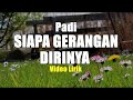 SIAPA GERANGAN DIRINYA - PADI VIDIO LIRIK