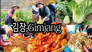 김장 (Gimjang )kimchi  day in south korea /감장날