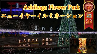 【正月バージョン】あしかがフラワーパーク『イルミネーションランキング７年連続第1位』