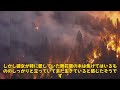 【エンタメ】「水原希子、自宅全焼の衝撃報告！山火事の影響と再生への希望」 水原希子 ロサンゼルス 山火事