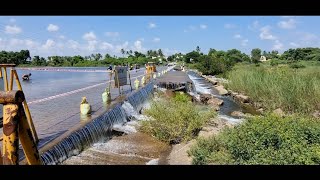 Periyapalayam Arani River - Causeway over flow பெரியபாளையம் ஆரணி ஆறு தரைப் பாலம்