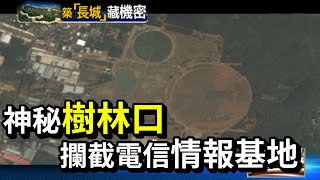 繪聲繪影林口麥田圈 刺探敵軍電信的情報基地【熱線追蹤】精彩