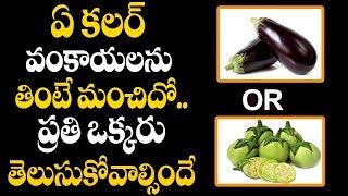 ఏ కలర్ వంకాయలను తింటే మంచిదో తెలుసా..? || ప్రతి ఒక్కరు తెలుసుకోవాల్సిందే..|| Which Color Brinjal