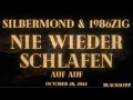 Silbermond x 1986zig – Nie wieder schlafen (Lyrics)