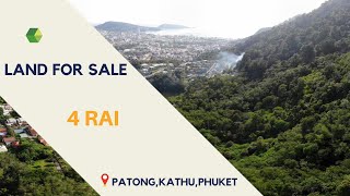 Land for sale in Patong 4 Rai Sea view : ขายที่ดินโซนป่าตองเห็นวิวทะเล