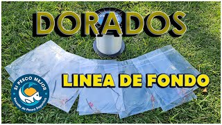 LINEA PARA DORADOS / PLOMADA VARIABLE !!! MIRA