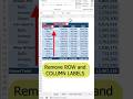 Remove ROW/COLUMN LABELS in pivot table