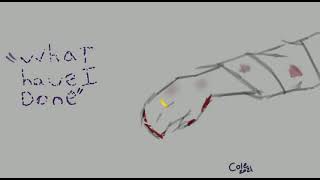 Did Ranboo Enderwalk??|| Animation