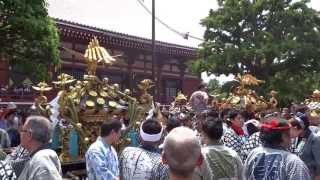 浅草三社祭　町内神輿大集合　浅草寺本堂裏広場　Sanja Festival 2013