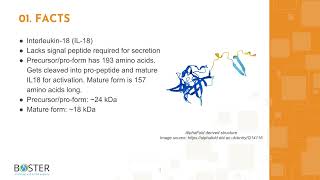 Learn IL-18 in 3 minutes | Interleukin-18 (IL18)