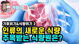 기존 식량이 사라지면? 뭘 먹어야 할까 새로운 대체식량 네가지