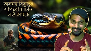 অসমত পোৱা বিসাক্ত সাপৰ নাম - Vlog 65