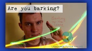 Learn an English idiom 5. Barking up the wrong tree. Learn English idioms.