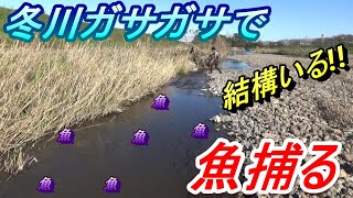 冬の川のガサガサ　の巻