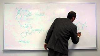 Ozonolysis of an Alkene - Reductive Work-Up 001