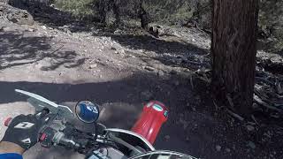 WR250 | CRF250 | Hill Climbs | Single Track