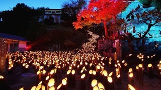 【おんせん県】 大分県の美しい風景【絶景】