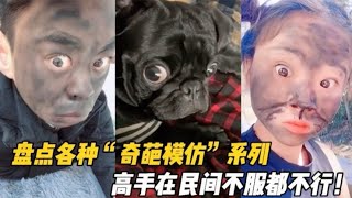 盘点各种“奇葩模仿”系列，高手在民间不服都不行！