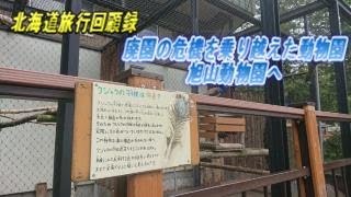 北海道旅行回顧録（廃園の危機を乗り越えた旭山動物園へ）