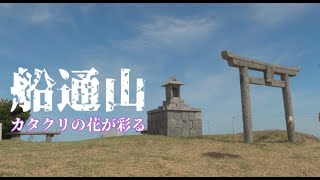 【登山】カタクリの花が彩る・船通山へ【鳥取県・島根県】