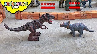 TRICERATOPS VS TREX Dinosaur Fight Tournament! Skyheart's battle event dinosaur toys for kids