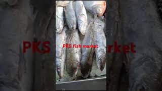 PKS fish market edavanna @malappuramthathavlogsbyayishu @fis @CatchEmAllFishingZakCatchEm #kr