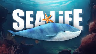 Dragonfly Productions - SEALIFE Animated Commercial