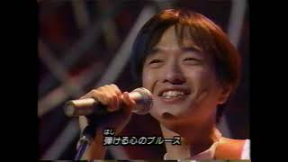 いちょう並木のセレナーデ （小沢健二/1996年）