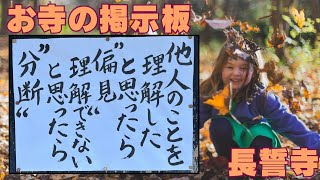 【お寺の掲示板】令和6年10月　真のコミュニケーションとは？　偏見と分断を越えていくために