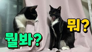 [ENG+] 꼭 거기서 놀아야돼??